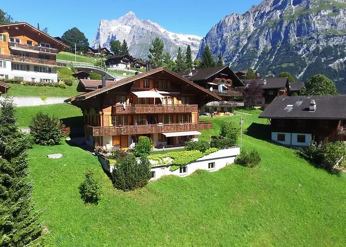 St. Louis 3.5 - Griwarent Ag